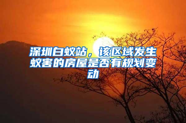 深圳白蟻站，該區(qū)域發(fā)生蟻害的房屋是否有規(guī)劃變動