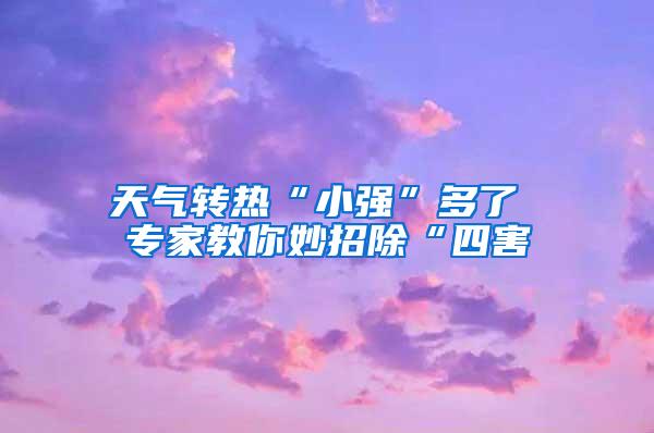 天氣轉(zhuǎn)熱“小強”多了 專家教你妙招除“四害