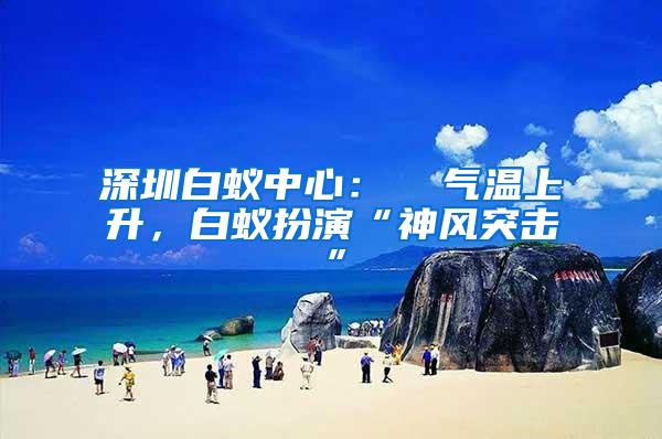 深圳白蟻中心：  氣溫上升，白蟻扮演“神風突擊”