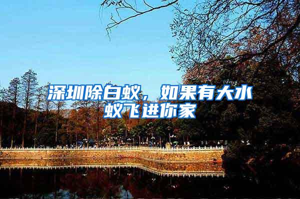 深圳除白蟻，如果有大水蟻飛進(jìn)你家