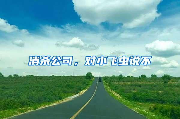 消殺公司，對小飛蟲說不